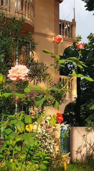 Hotel - Shorena Ureki Zewnętrze zdjęcie
